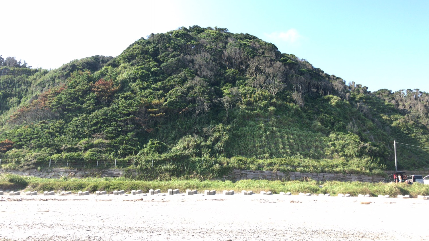 田原市